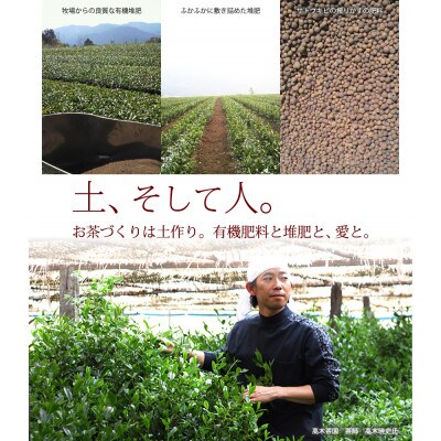 奥八女星野村 深蒸し高級煎茶(深蒸し茶)100g×1袋(筑前町)