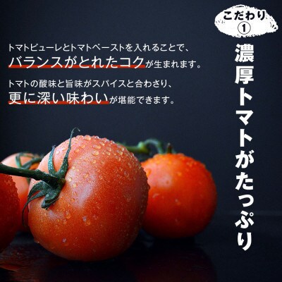 100%博多和牛のキーマカレー (180g×3パック)(筑前町)