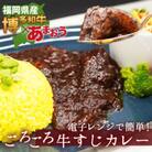 博多和牛100%使用!!あまおうがほのかに香る牛すじとろっとカレー(170g×20袋)(筑前町)