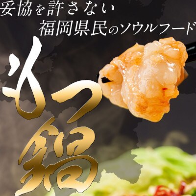 博多名物味付きもつ鍋セット 4人前(もつ400g)!アイスキャンディー6本付き!(筑前町)