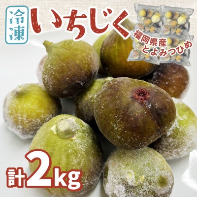 福岡県産「博多とよみつひめ」冷凍いちじく!合計2kg(筑前町)