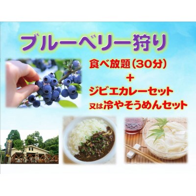 夜須高原で ブルーベリー狩り&ランチ チケット
