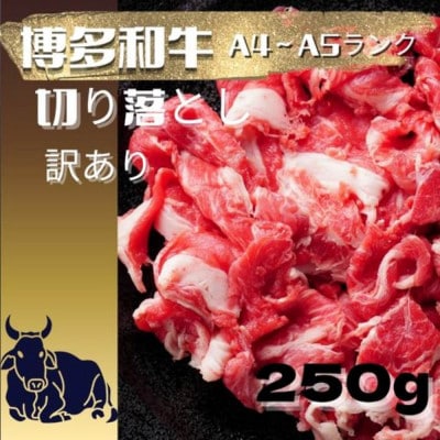 【訳あり】【A4～A5ランク】博多和牛 切り落とし 250g(筑前町)