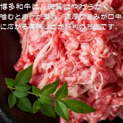 【訳あり】【A4～A5ランク】博多和牛 切り落とし 250g(筑前町)