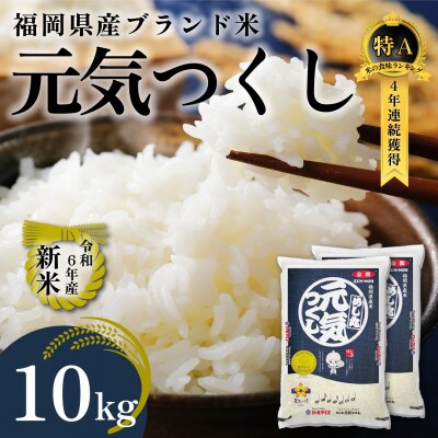 新米!!令和6年産 福岡県産米 元気つくし 合計10kg(5kg×2袋)(筑前町)