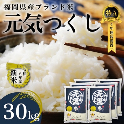 新米!!令和6年産 福岡県産米 元気つくし 合計30kg(5kg×6袋)(筑前町)
