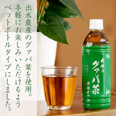 グアバ茶PET(神秘也)500ml×30本 I1137-B