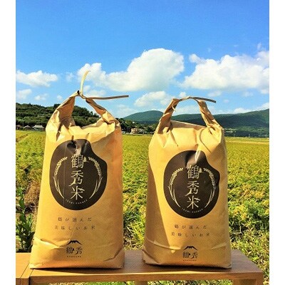 令和5年産 鶴秀(かくしゅう)米　なつほのか(玄米)20kg【10kg×2袋】