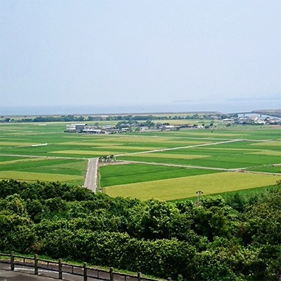 令和5年産 鶴秀(かくしゅう)米　なつほのか(玄米)30kg【10kg×3袋】