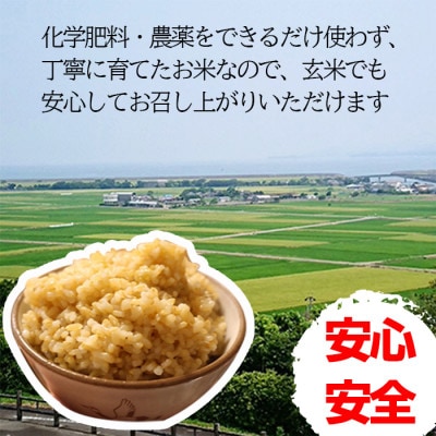 令和6年産 鶴秀(かくしゅう)米　ヒノヒカリ(玄米)10kg【5kg×2袋】