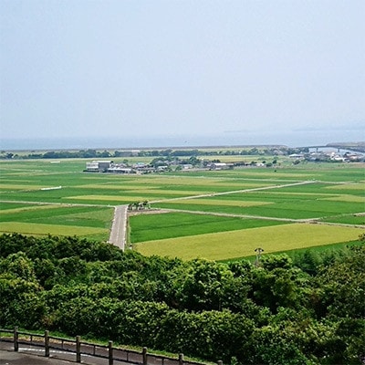 令和6年産 鶴秀(かくしゅう)米ヒノヒカリ(玄米)30kg【10kg×3袋】