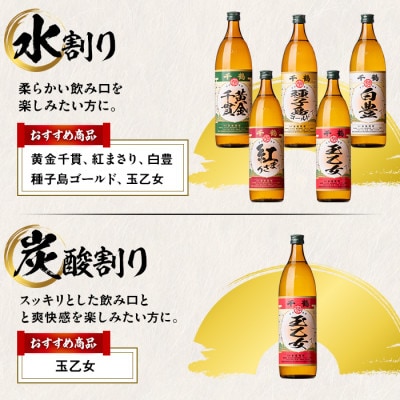 【毎月定期便】鹿児島限定 神酒造厳選900ml×6本セット全3回