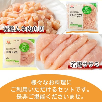 南国元気鶏セット_I018