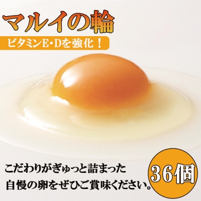 マルイの輪(たまご)