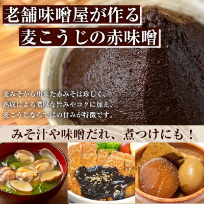 熟成みそ　500g×2個_I1123