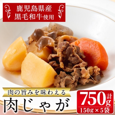 鹿児島県産黒毛和牛の肉じゃが(150g×5袋・計750g)(i178)