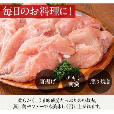 【訳あり・不揃い】いずみどり むね肉 小分け (計約3.45kg) _i1063-A