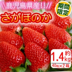 ギフト用イチゴ　約1.4kg!濃い甘み、爽やかな酸味　鹿児島県産さがほのか | ふるさと納税のお礼品