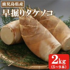 早掘りタケノコ 2kg(出水市)