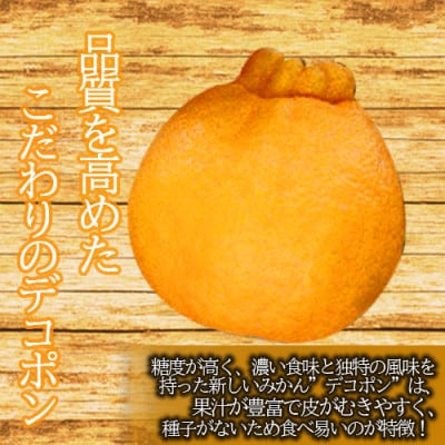 デコポン 【約5kg】