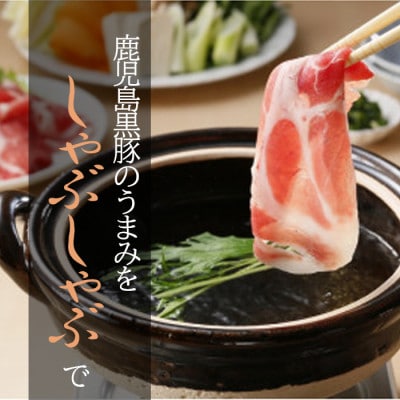 鹿児島黒豚スライスセット　1.8kg(出水市)【B-2701】