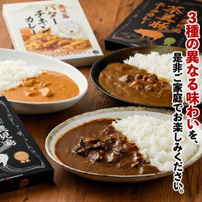 ポーク&チキン カレーセット(3種・計6個)(出水市)