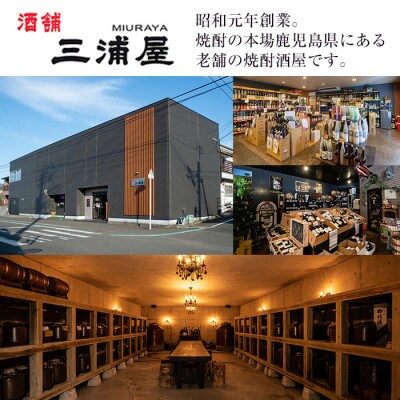 鹿児島県出水市産 焼芋焼酎25度 ゴジラ 900ml6本