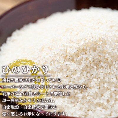 【令和6年産】鹿児島県出水市産ひのひかり　美白米12kg_I501
