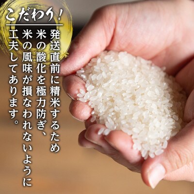 【令和6年産】鹿児島県出水市産ひのひかり　美白米12kg_I501