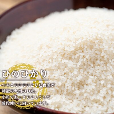 【令和6年産】出水市産ひのひかり・あきほなみ食べ比べセット　計6kg【精米】_I866-A