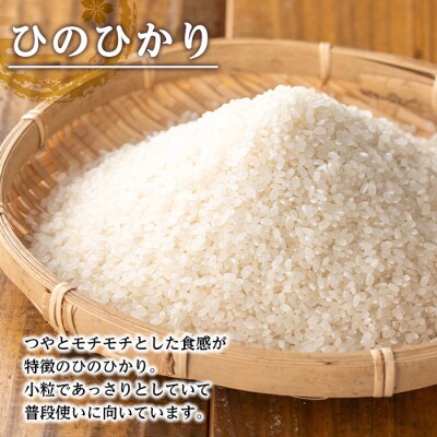 鹿児島県産ひのひかり【美白米】10kg_I879-B