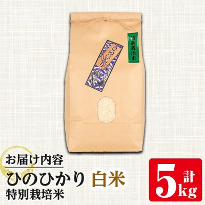 特別栽培米(ひのひかり)【精米】5kg