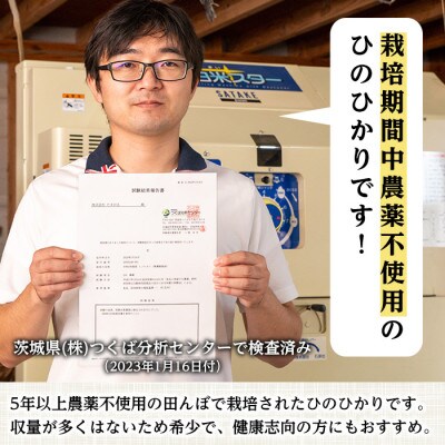 特別栽培米(ひのひかり)【精米】5kg