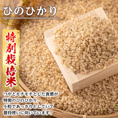 特別栽培米(ひのひかり)【玄米】5kg