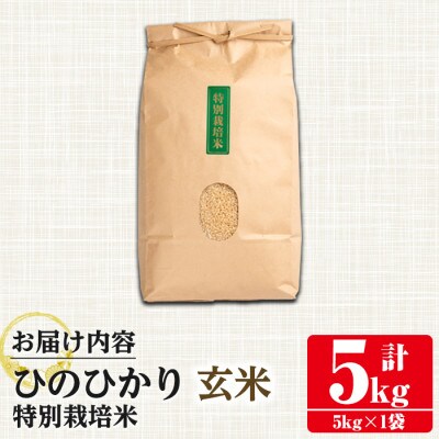特別栽培米(ひのひかり)【玄米】5kg