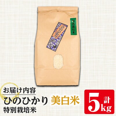 特別栽培米(ひのひかり)【美白米】5kg