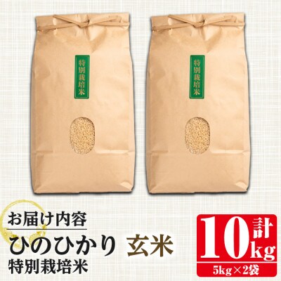 特別栽培米(ひのひかり)【玄米】10kg