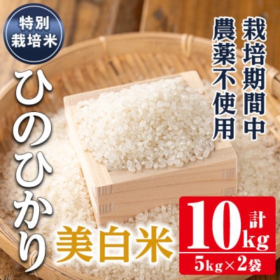 特別栽培米(ひのひかり)【美白米】10kg