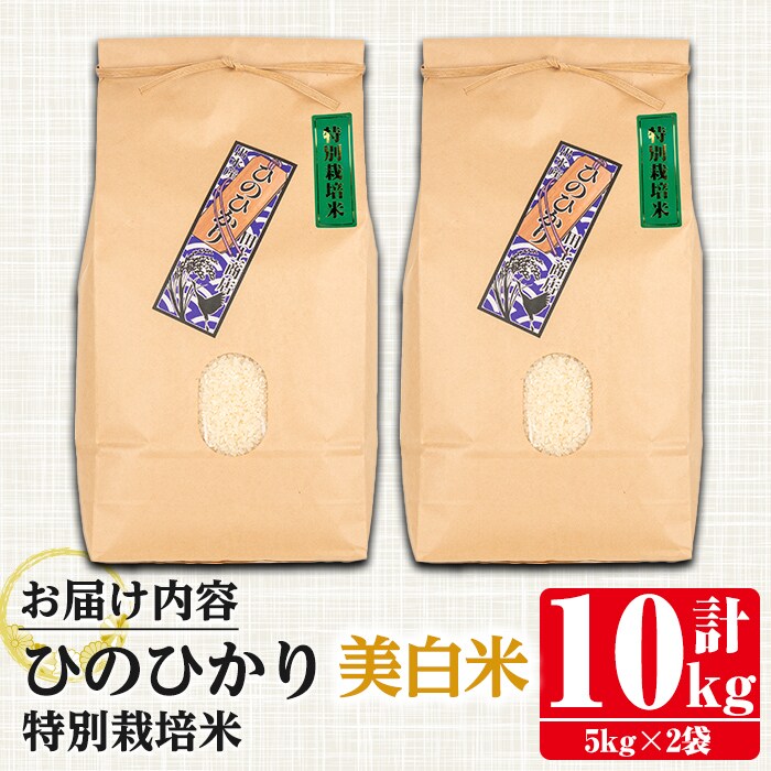 特別栽培米(ひのひかり)【美白米】10kg