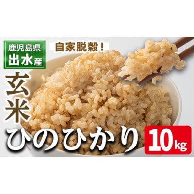 出水産ひのひかり玄米(10kg×1袋)_I503-v02