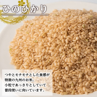 出水産ひのひかり玄米(5kg×1袋)_I504-v02