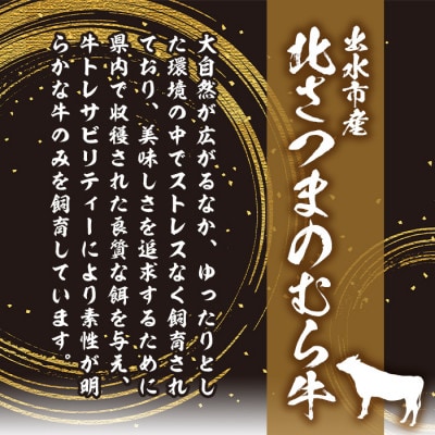 鹿児島県出水市産北さつまのむら牛リブロース　600g