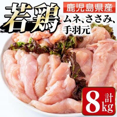 鹿児島県産 若鶏ムネ肉・手羽元・ささみ(計8kg)【まつぼっくり】i449(出水市)