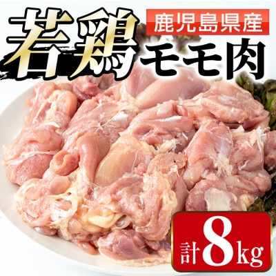 まつぼっくり　鹿児島県産若鶏モモ肉8kg_I1090-B(出水市)