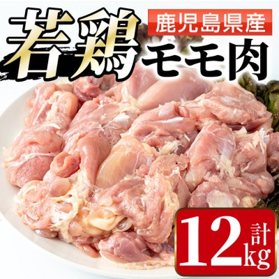 まつぼっくり　鹿児島県産若鶏モモ肉12kg_I1090-C(出水市)