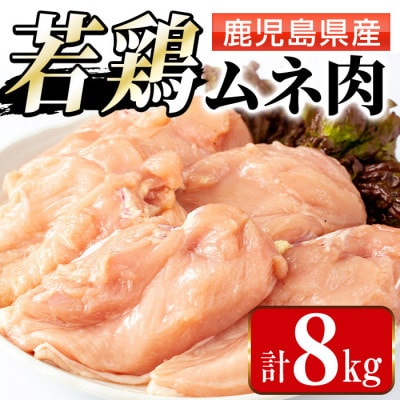 まつぼっくり　鹿児島県産若鶏ムネ肉8kg_I1091-B(出水市)