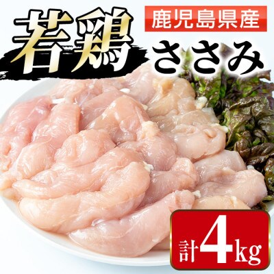 まつぼっくり　鹿児島県産若鶏ささみ4kg_I1094(出水市)