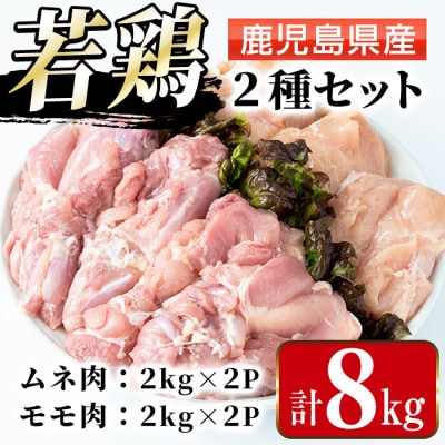 まつぼっくり　鹿児島県産若鶏ムネ4kg・モモ4kg_I1095(出水市)