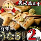 鹿児島産　有頭白焼き　2尾セット
