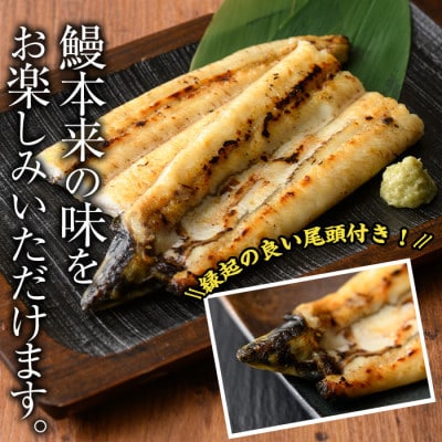鹿児島産　有頭白焼き　2尾セット